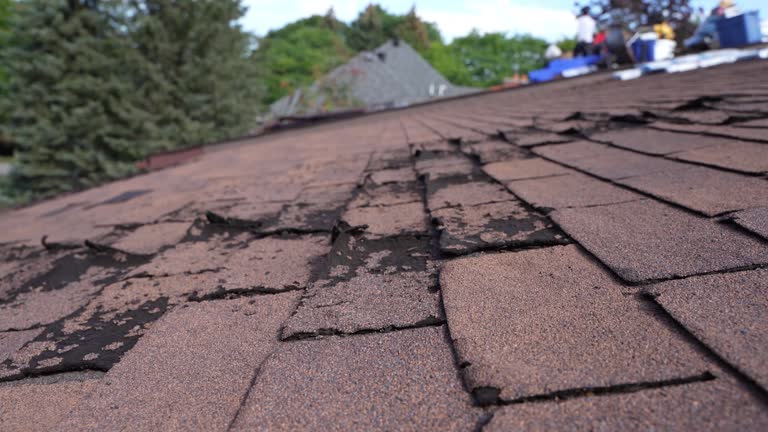 Best Rubber Roofing (EPDM, TPO)  in Sherwood, OH