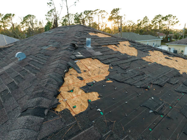 Best Roof Ventilation Installation  in Sherwood, OH